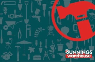 Bunnings Warehouse image
